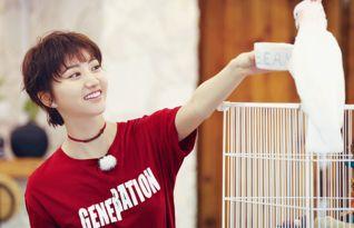 吃瓜娱乐间陈小春