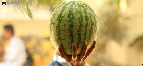 吃瓜大事件,揭秘娱乐圈最新大事件背后的真相